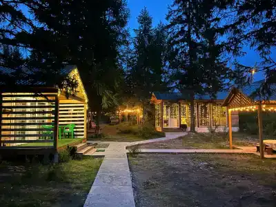 Forest camp - 1