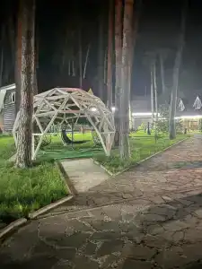 Сосновый Бор - 32