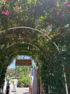 Side Royal Palace - 49