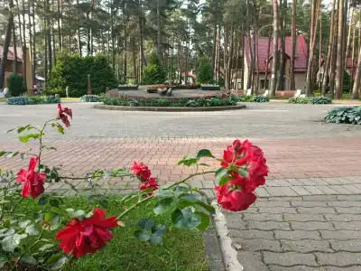 Энергетик - 56