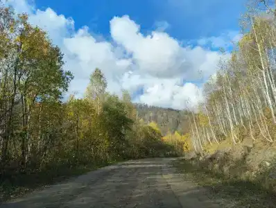 Липа Да Ива - 32