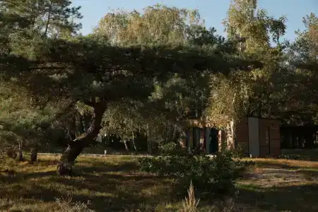 Балтийские Холмы - 94