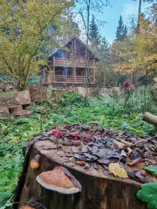 Лада Holiday - 31