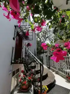 City Boutique Inn - 10