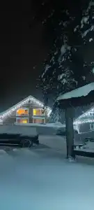 ForRest Сканди - 23