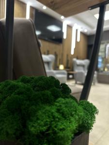 Парковая - 9