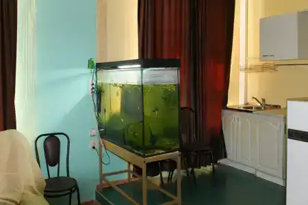 Уют - 49