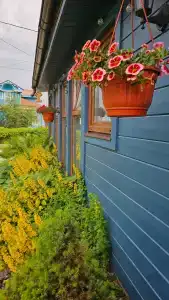 Гостевой дом Суриковых - 50