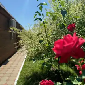 Солнечный Остров - 53