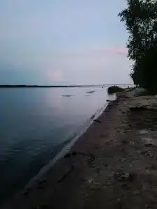 Волга - 41