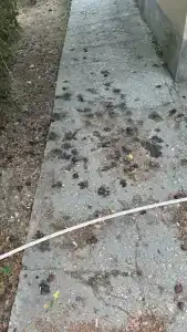 Семейный парк Озеро - 51