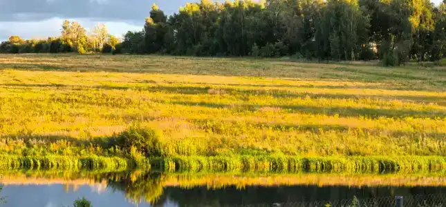 Отдых у реки - 90