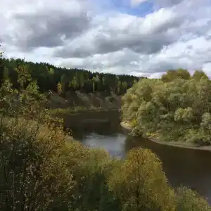 Живое - 1