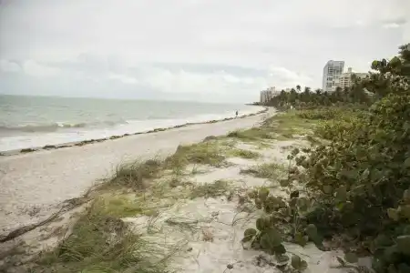 Coral Reef at Key Biscayne - 5