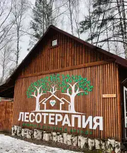 Лесотерапия - 0