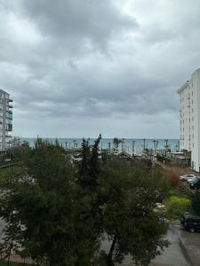 Zeynel - 37