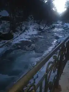 Эдельвейс - 48