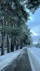 8 подушек - 33