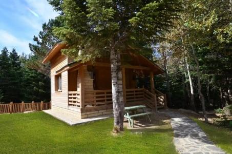 Uludag Orman Koskleri - 61