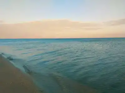 Маргарита - 75