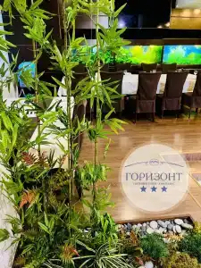 Горизонт - 91