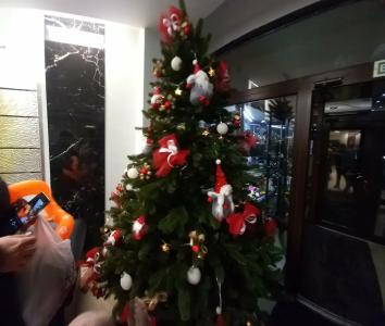 Солнечный Ветер - 85