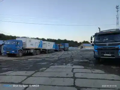 Зеленый Бор - 4