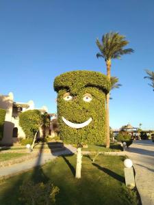 Ali Baba Palace -Families and Couples Only- - 38