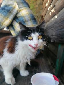 Welcome Голубой Залив - 31