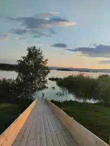 Алоха - 15