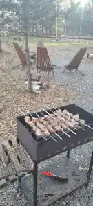 Ветер в соснах - 40