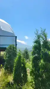 Орлиное гнездо - 18