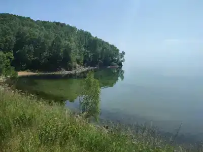 Шумиха - 17