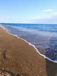 София - 21