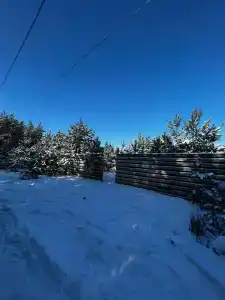 Тишина - 45