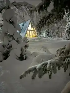 Хаски Кэмп - 33