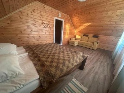 Dмитриевский - 56