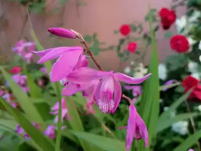 Свирский Пляж - 20