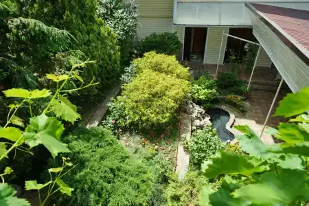 Пальмира - 11