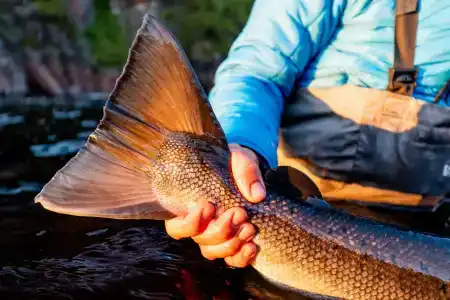 Олёнка лодж - 74