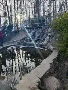 Вилия - 17