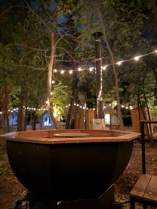 Юрта-парк на острове - 25