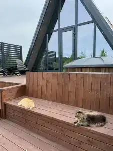 Kenza глэмпинг - 92