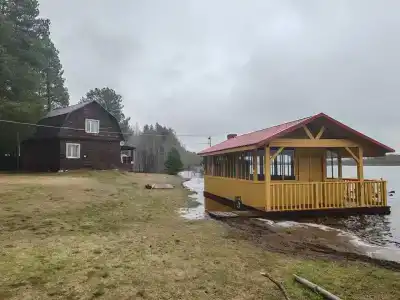 Шишкин лес - 41
