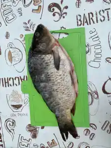 Юрта-парк на острове - 80