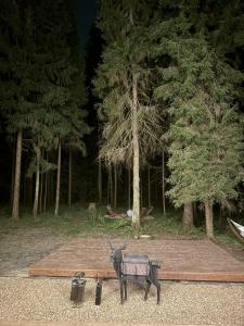 Хвоя Secret Place - 39