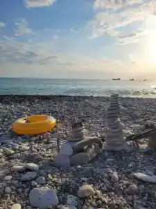 Фаворит - 33