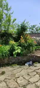 Гостевой Дом у Сабишки - 24