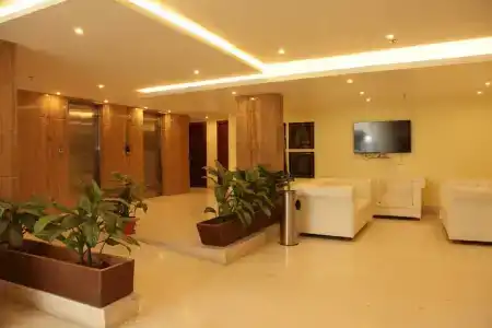 o2 Vip - 53
