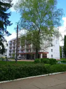 Красный Бор - 94